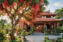 4 loại cây trồng cây càng xanh tươi người càng may mắn giàu có