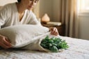 Tại sao bạn nên để nắm lá ngải cứu khô dưới gối trước khi ngủ?