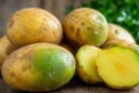 Khoai tây chuyển từ vàng sang xanh: Có nên ăn không?