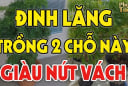 2 vị trí trồng Đinh Lăng hút tài lộc