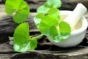 Rau má mang lại lợi ích gì cho làn da?