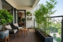 5 loại cây nên đặt ở ban công hướng Tây để vừa mát nhà vừa hợp phong thủy