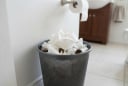 Giấy vệ sinh nên vứt sọt rác hay bồn cầu? Sự thật khiến nhiều người bất ngờ