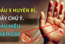 3 dấu hiệu trên lòng bàn tay của người tài ba, may mắn