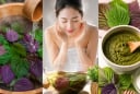 3 cách dùng lá tía tô giúp làm sáng da, hỗ trợ giảm mụn ngoài da và chăm sóc làn da tự nhiên