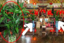 3 dấu hiệu may mắn trên bàn thờ