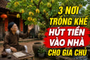 3 nơi trồng khế hút Tiền vào nhà cho gia chủ