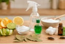 Chỉ cần vài nguyên liệu có sẵn trong bếp: 5 cách đuổi gián đơn giản, tiết kiệm mà nhiều người chưa biết