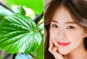 Lá lốt có thực sự giúp cải thiện mụn? Những cách chăm sóc da đơn giản từ nguyên liệu quen thuộc