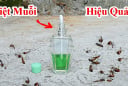 10 cách đuổi muỗi đơn giản, nhà sạch bóng không còn tiếng vo ve