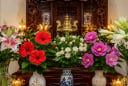 Những loại hoa đẹp nhưng người xưa rất kiêng đặt lên ban thờ thắp hương: Không phải ai cũng biết
