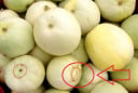 Cách chọn dưa lê ngon không bị đắng