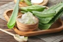 Công thức gel dưỡng từ nha đam và húng quế hỗ trợ chăm sóc da mụn tại nhà