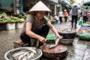 Mẹo khử sạch mùi tanh của cá cực đơn giản