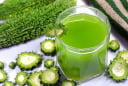 Điều gì xảy ra với cơ thể khi uống nước mướp đắng (khổ qua) vào buổi sáng? Có 6 lợi ích đặc biệt
