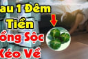 Tại sao nhiều người hay đặt bát chanh muối ở góc nhà?