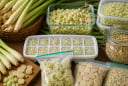 6 mẹo bảo quản sả quanh năm vẫn thơm nồng, không khô héo hay mất tinh dầu