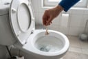 Bỏ 1 tép tỏi vào bồn cầu sáng hôm sau điều bất ngờ xảy ra