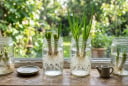 Chỉ cần cắm vào cốc nước, hành lá vẫn xanh tốt: Mẹo đơn giản giúp gia đình có rau gia vị tươi quanh năm