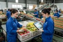 Ngành học được dự báo 'khát' nhân lực trong 10 năm tới: Ra trường dễ xin việc, nhiều doanh nghiệp săn đón