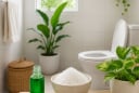 Đặt thứ này trong nhà vệ sinh giúp khử mùi hôi hiệu quả mà không cần sáp thơm, không cần nước xịt