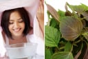 Xông mặt bằng lá tía tô có thực sự tốt? Những điều cần biết để tránh gây hại cho làn da