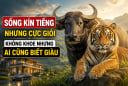 3 con giáp Sống Kín tiếng nhưng cực giỏi, không khoe nhưng ai cũng biết giàu
