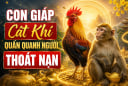 Cát Khí quấn quanh người, 4 con giáp thoát nạn, Tiền lại về từ tuổi trung niên