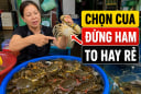 Chọn cua đừng ham to hay rẻ, thấy thứ này người bán cho cũng đừng ham
