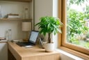 Cây kim ngân đặt ở đâu để vừa đẹp vừa hợp phong thủy?