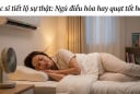 Ngủ với điều hòa hay quạt tốt cho sức khỏe hơn? Bác sĩ tiết lộ sự thật ít ai ngờ