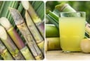 3 khung giờ uống nước mía tốt cho sức khỏe