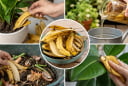 Đừng vứt vỏ chuối: 7 công dụng hữu ích bất ngờ, biết rồi nhiều người tiếc vì đã bỏ đi