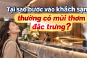 Tại sao bước vào khách sạn thường có mùi thơm đặc trưng?