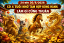 24 đến 30/8/2026 có 4 tuổi nhờ Tam Hợp đồng hành, làm gì cũng thuận