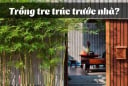 Có nên trồng tre trúc trước cổng nhà không?