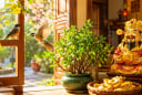 Thần Tài tới nhà? 5 dấu hiệu trong nhà được người xưa cho là tín hiệu may mắn, tài lộc đang ghé thăm