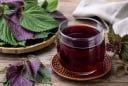 Uống tía tô nhớ tránh những sai lầm này, nhiều người đang mắc mà không hay