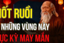 3 nốt ruồi Quý nhân phù trợ, đừng dại tẩy đi