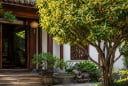 Lưu ý cho những ai thích trồng cây mộc hương trước nhà