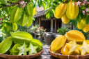 Cây khế chua và khế ngọt trong phong thủy có khác nhau về ý nghĩa không? Nên chọn loại nào?