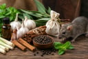Cách đuổi chuột bằng mùi tự nhiên: 7 mẹo đơn giản khiến chúng tự tìm đường đi