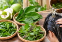 Cách gội đầu bằng 3 loại lá phổ biến giúp tóc sạch, đẹp và hỗ trợ mọc tóc con