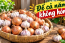 Mẹo bảo quản hành tỏi cả năm không mốc, ọp