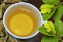 Nên uống nước lá ổi khô hay tươi?