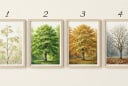 Chọn 1 cái cây bạn thích nhất sẽ nói lên vận may trong tháng 10 của bạn