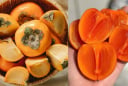 Sai lầm khi ăn quả hồng gây tắc ruột, ngộ độc, nhiều người không biết