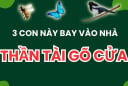 3 con vật vào nhà mang tới may mắn cho gia chủ