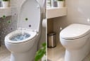 Dùng xong nên đóng hay mở nắp bồn cầu? Đây mới là cách vệ sinh đúng