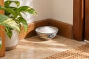Vì sao nhiều người đặt bát muối ở góc nhà? 4 lý do phía sau không phải ai cũng biết